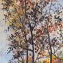 Large Framed Signed Carberry Watercolour Landscape 62 x 90 cm Image 5