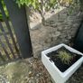 3 belfast sinks and antique stone trough Image 2