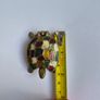 Brass Turtle Decorative Keepsake Hinged Trinket Box Image 8