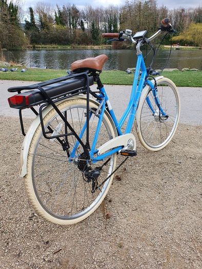 Electric Bike (Step Through)_Pendleton