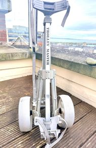 golf trolley - trolley master