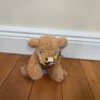 Teddies Image 4