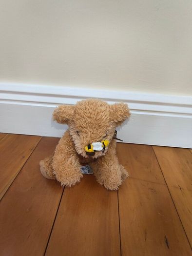 Teddies