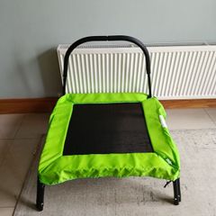 trampoline indoor