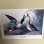 4 large wildfowl prints Framed Image 7