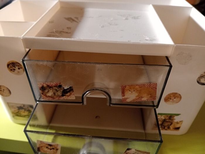 organizer