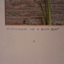 'Wild Flowers on a Blue Boat' Image 5