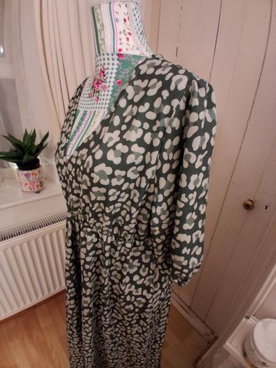 Dress Bnwt