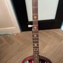 McBride 5 string case and picks Image 2