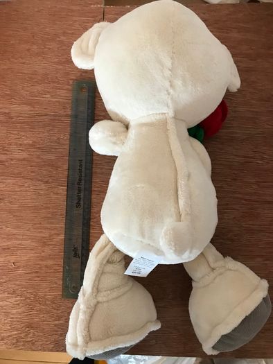 Soft White Teddy Bear holding a red rose