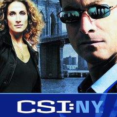 CSI: New York - Complete Season 5 [DVD]
