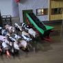 schleich farm Image 2