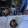 Metal Floral Sculptural / Modern Image 4