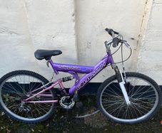 Ladies bike
