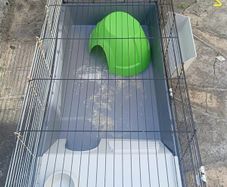Rabbit Cage