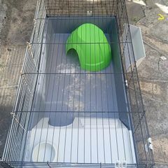 Rabbit Cage + Accessories