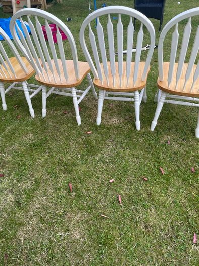 dining chairs