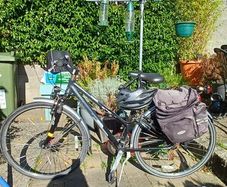ladies bike