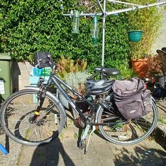 ladies bike