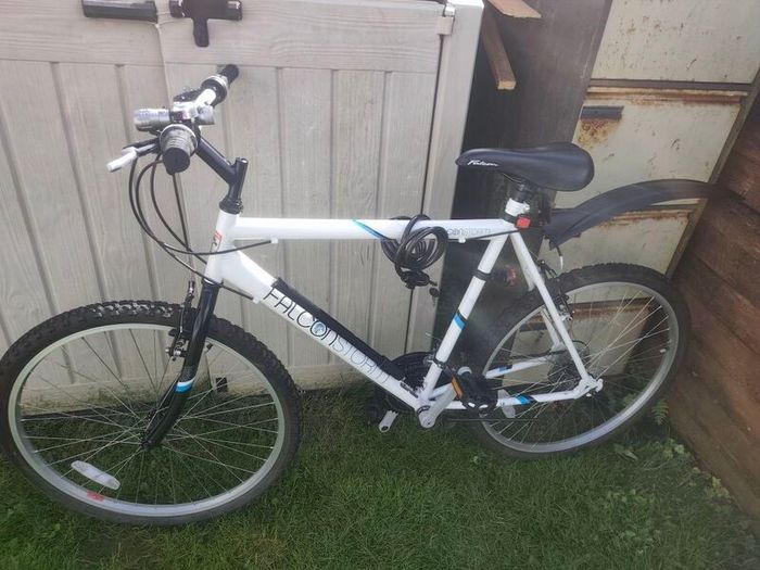 men's bike good condition equipped with extras, rear mudguard, front, rear light, pump, kickstand, lock ! no offer!