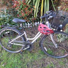 Ladies Bicycle Raleigh Pioneer