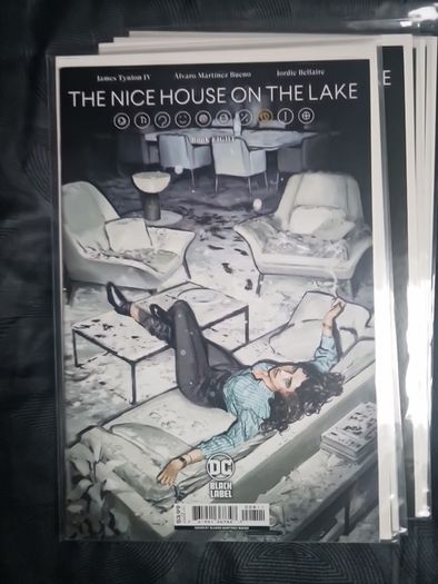 the nice house on the lake