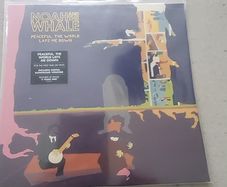 Noah and the Whale Vinyl