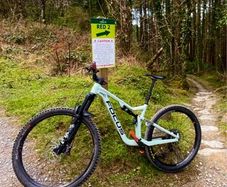 Focus jam mountain bike
