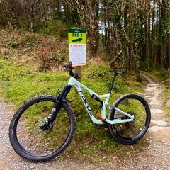 Focus jam mountain bike