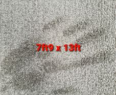 carpet 7ft9 x 13ft