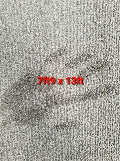 carpet 7ft9 x 13ft