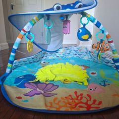 Baby gym