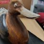 Hand Carved And Hand Painted Wood Duck With Gold Tone Eyes Image 8