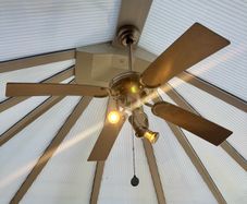 Ceiling fan with lights