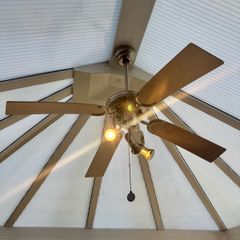 Ceiling fan with lights