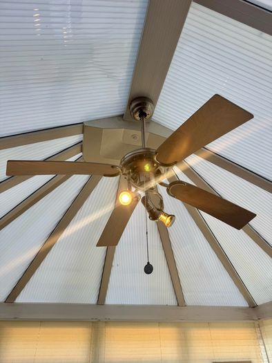 Ceiling fan with lights