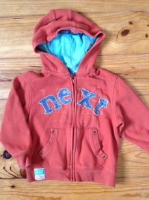 Age 3-4 NEXT Orange Hoodie