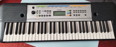 Yamaha YPT 255