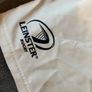 Leinster rugby squad issue training / gym shorts Image 3