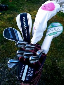 Set of Ladies Golf Clubs
