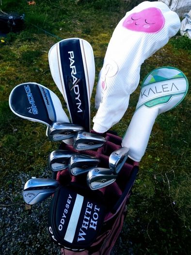 Set of Ladies Golf Clubs