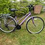 Ladies Appolo Haze ( Fully Serviced ) Image 9