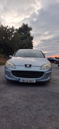 2009 Peugeot 407