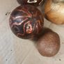 calabashes Image 5