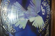 Roger Taylor - Queen -  Ltd, Numbered,12" Pic Disc