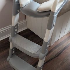 Toddler toilet steps