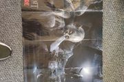 The Hobbit (Lord of the Rings Gandalf/Golem - Double Sided Large Poster)