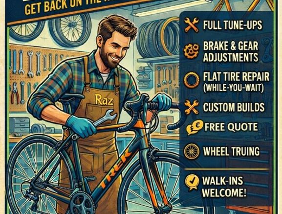 Bicycle professional service