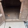 Wooden Dog Kennel Image 7