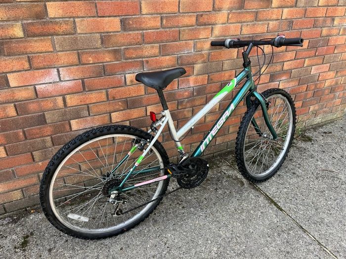 26 Inch Integra Everglades bike